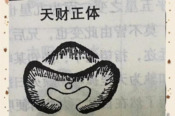 风水讲解四种寻龙的方法是什么