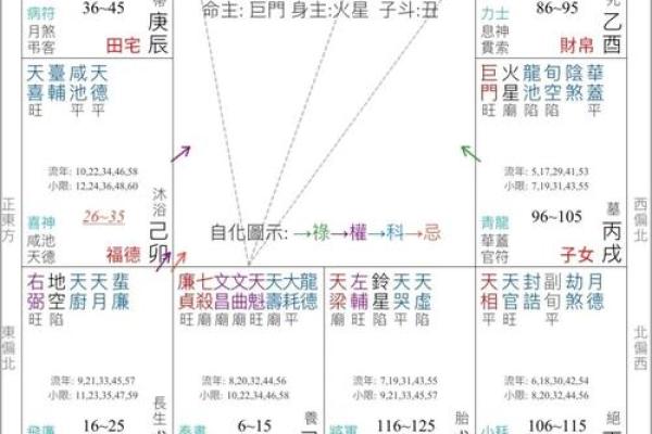 紫薇斗数羊驼夹