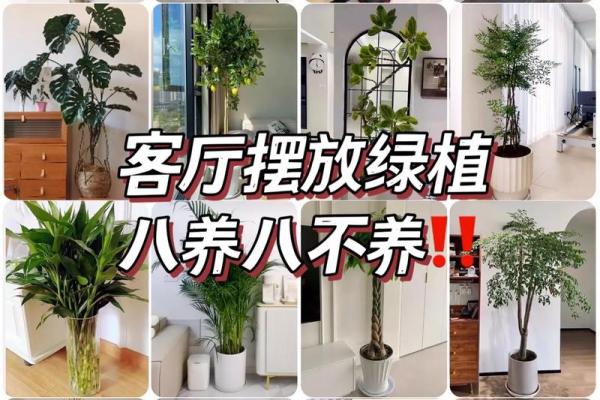 解答关于假花对风水有什么影响
