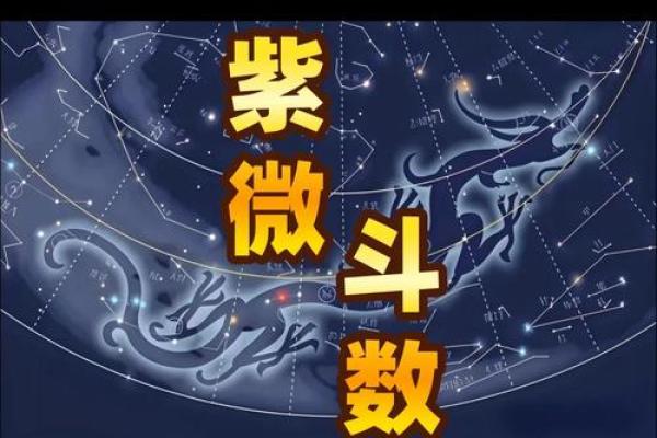 紫薇斗数天马位置不一样