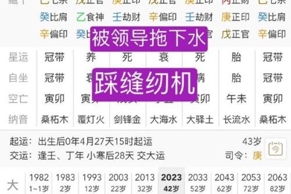 八字公务员