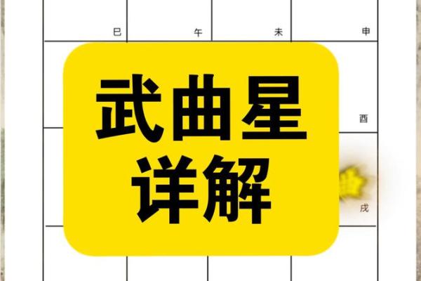 紫薇斗数子斗亥