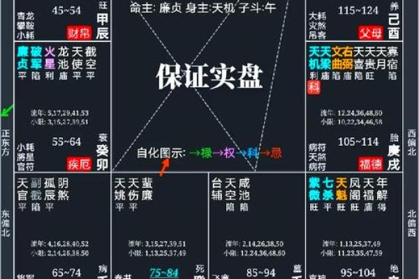 紫微斗数142 紫微斗数14主星顺序？