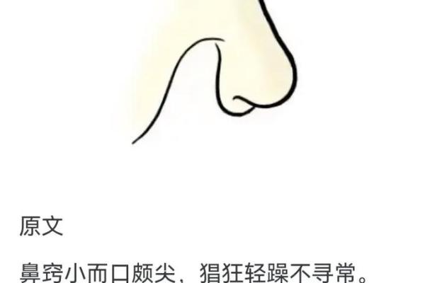 面相算命鼻子