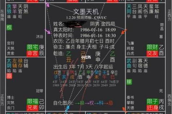 紫薇星入事业宫详解