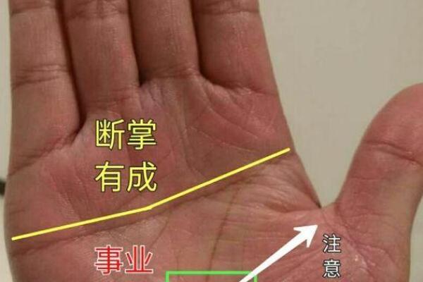 手掌算命男左女右