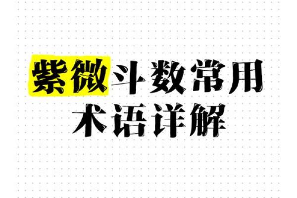 紫薇斗数斗君的作用