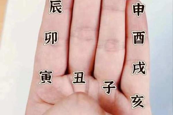 紫薇斗数掌中决