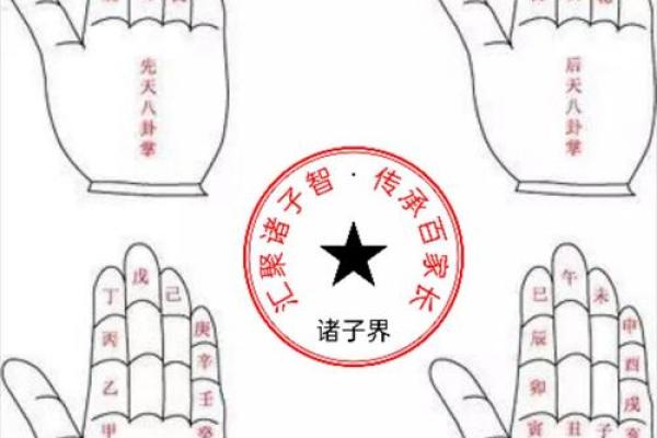 紫薇斗数掌中决