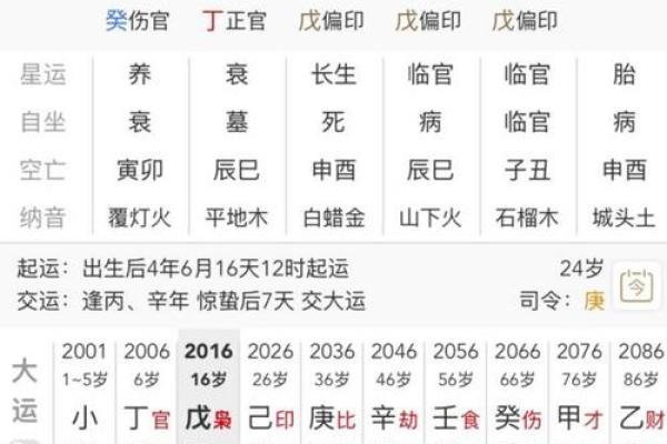 八字排盘软件免费版