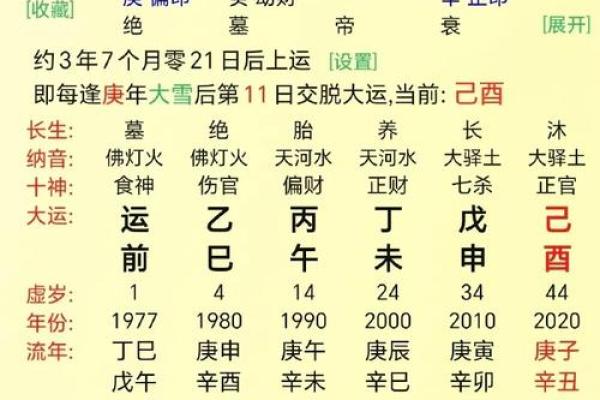 八字怎样看财官印食伤