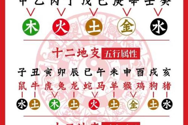 八字寅数字是几