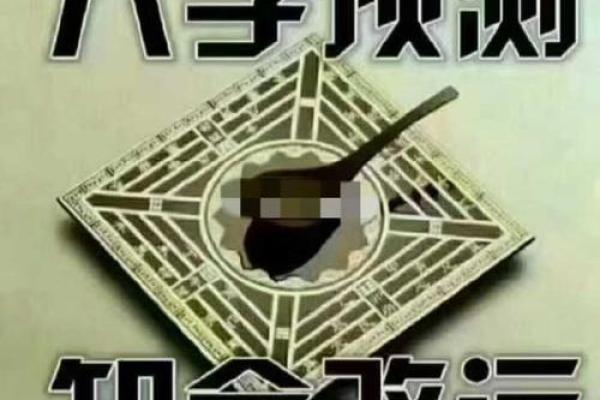 乙亥日八字