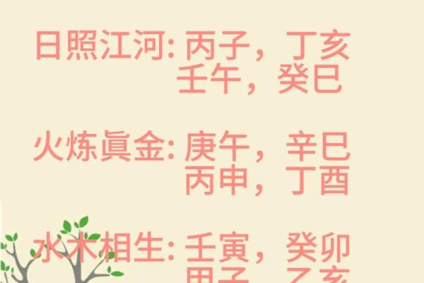 八字日支