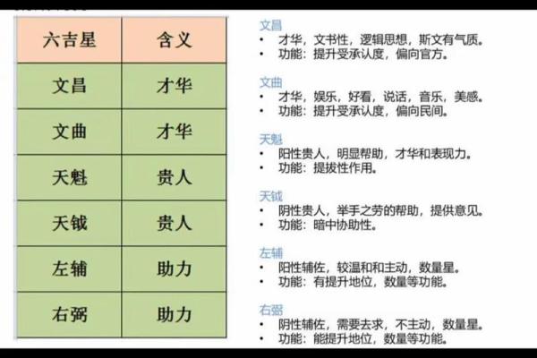 右星紫薇斗数