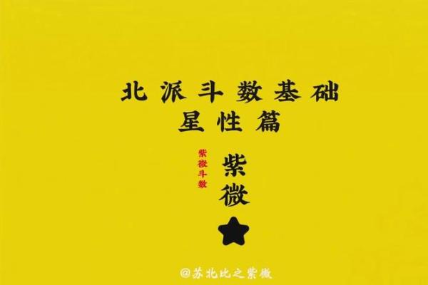 右星紫薇斗数