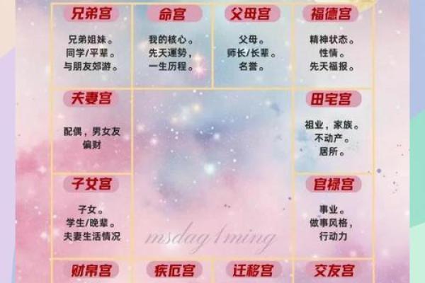 紫薇斗数宫位破