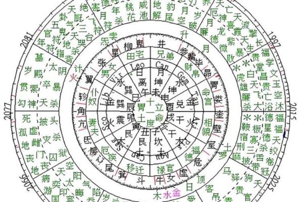 老紫薇斗数