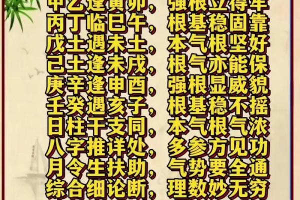 八字基础视频
