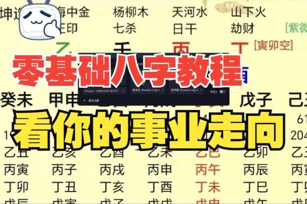 八字基础视频