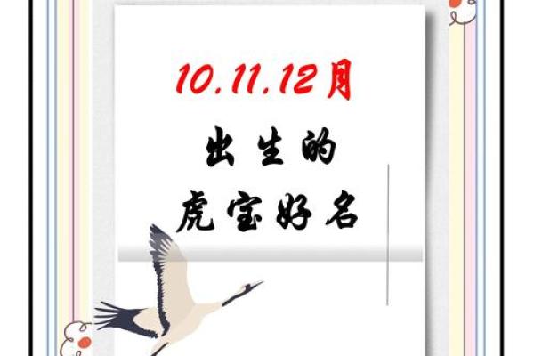 取名网免费姓名测试,虎宝宝取名心字好不好