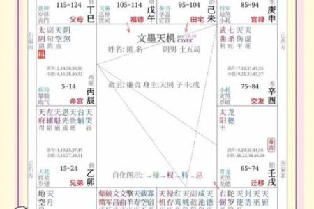 紫微斗数诸星落诸宫之：太阴星官禄宫详解