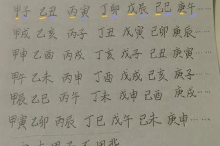 丁酉辛亥丙戍己亥八字命运
