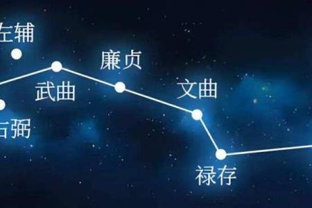 紫薇斗数夫福线