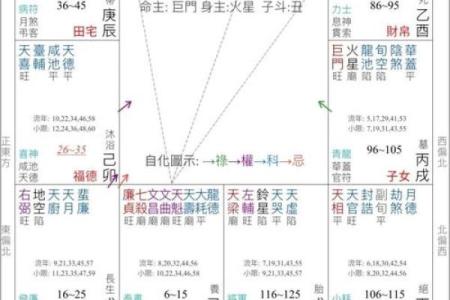 紫薇斗数羊驼夹