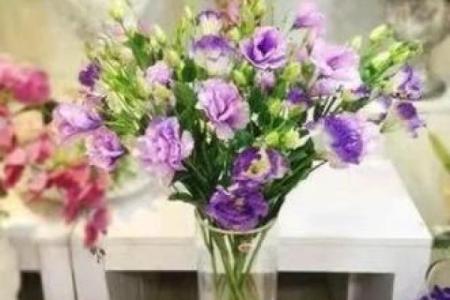 解答关于假花对风水有什么影响