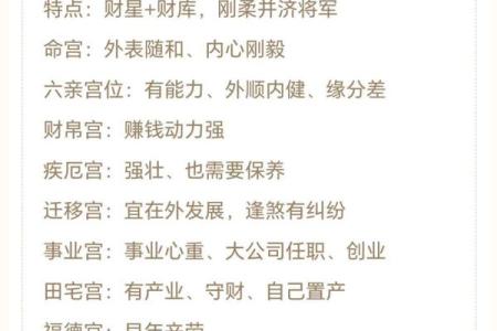 紫薇斗数意思