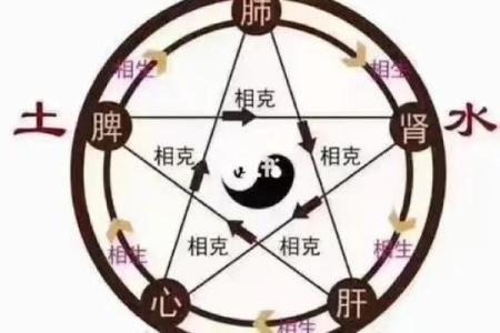 八字木少