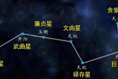 生长紫薇斗数