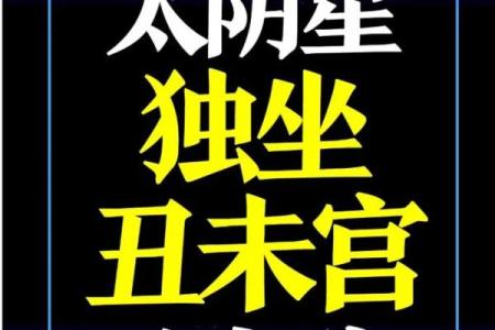 中华预测网紫微斗数 中华国学紫微斗数培训官网？