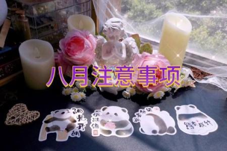 塔罗测试：八月你该如何与你恋人相处