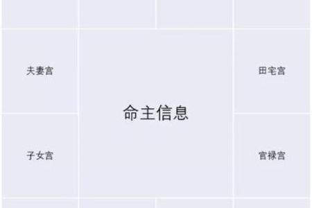 紫微斗数入门--身宫