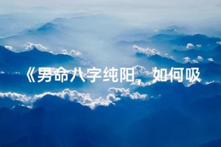 八字纯阳男