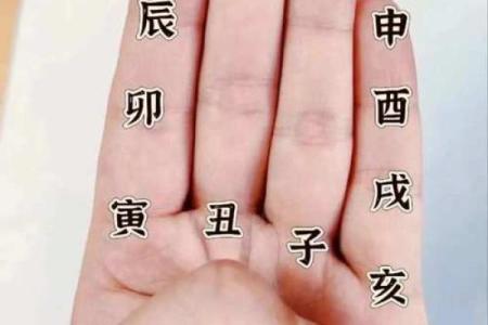 紫薇斗数掌中决