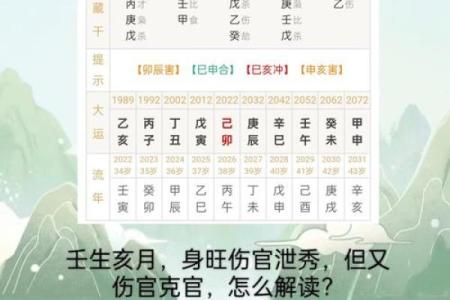 伤官合杀美女八字