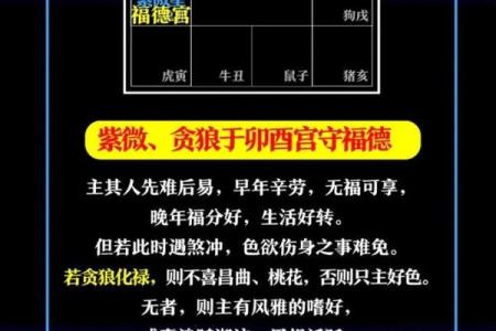 紫微斗数诸星落诸宫之，贪狼星：阳木疾厄宫详解