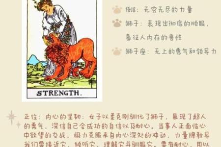 团团塔罗牌测试，塔罗牌里团结是什么意思？