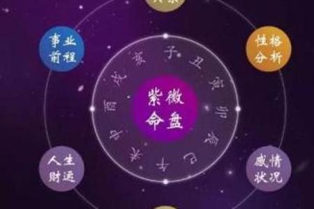 紫薇斗数看感情