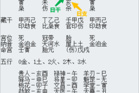八字日支