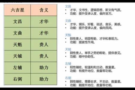 右星紫薇斗数