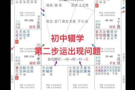 紫微斗数容易还是八字容易 紫微斗数比八字准？