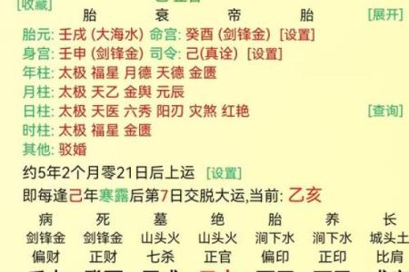 紫薇斗数流年七杀在寅