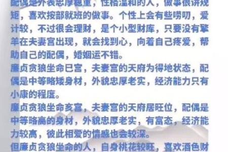 紫微斗数之夫妻宫与诸星，天府星在夫妻宫是什么意思？