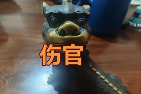 八字入门之论伤官的优点 伤官有何优点