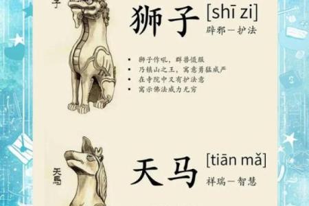 算命六兽排列详解视频