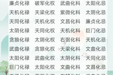 紫微斗数之四化法的分类预测：看人事、地位与运数
